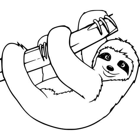Printable Picture Of A Sloth